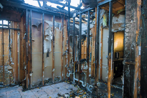 Professional Fire Damage Removal technician working in Springville, NY